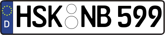 HSK-NB599