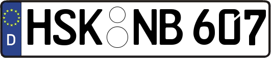 HSK-NB607