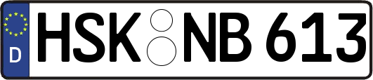 HSK-NB613