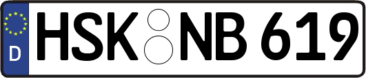 HSK-NB619
