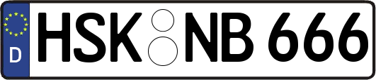 HSK-NB666