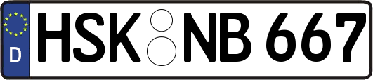 HSK-NB667