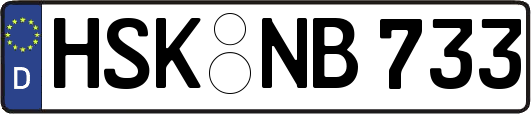 HSK-NB733