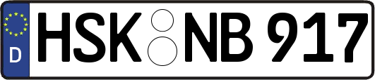 HSK-NB917