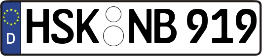 HSK-NB919