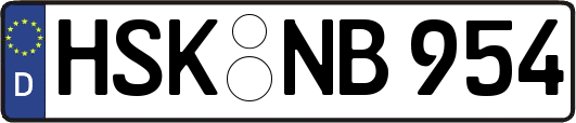 HSK-NB954