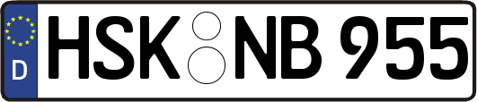 HSK-NB955