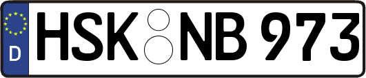 HSK-NB973