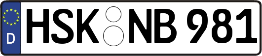 HSK-NB981