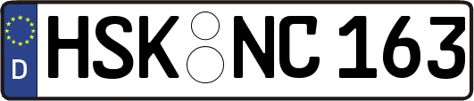 HSK-NC163