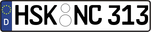 HSK-NC313