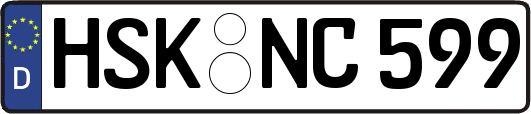 HSK-NC599