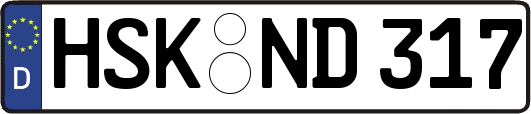 HSK-ND317