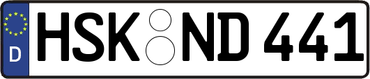 HSK-ND441