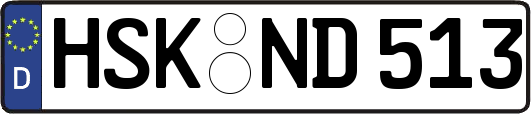 HSK-ND513