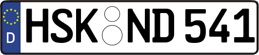 HSK-ND541