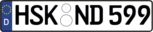 HSK-ND599