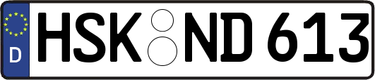 HSK-ND613