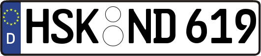HSK-ND619