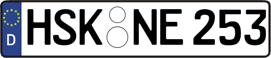HSK-NE253