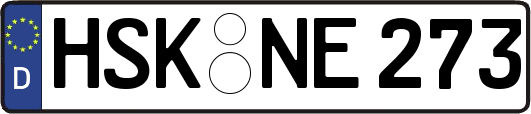 HSK-NE273