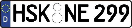 HSK-NE299