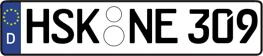 HSK-NE309