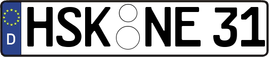 HSK-NE31
