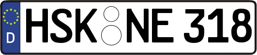 HSK-NE318