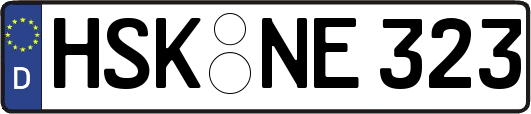 HSK-NE323