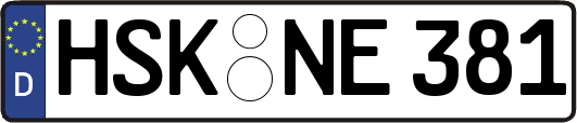 HSK-NE381