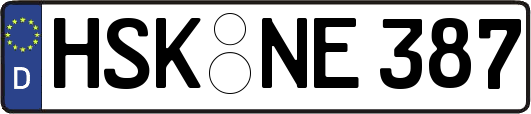 HSK-NE387
