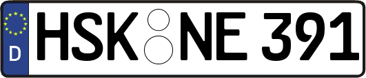 HSK-NE391