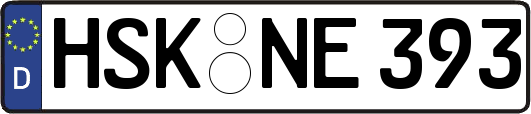 HSK-NE393