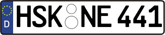 HSK-NE441