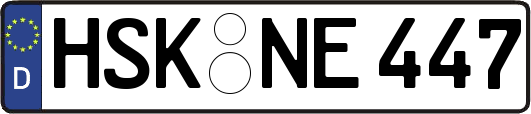 HSK-NE447