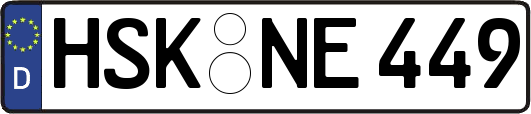 HSK-NE449