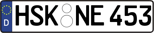 HSK-NE453