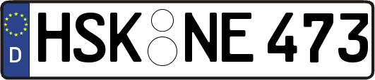 HSK-NE473