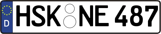 HSK-NE487