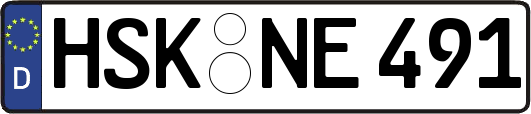 HSK-NE491