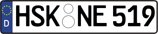 HSK-NE519