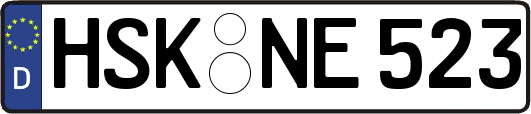 HSK-NE523