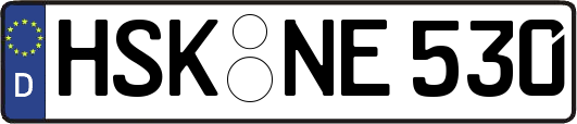 HSK-NE530