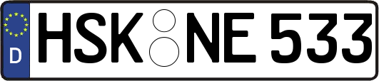 HSK-NE533