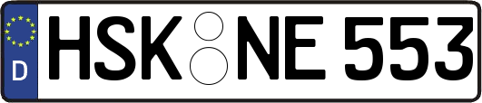 HSK-NE553