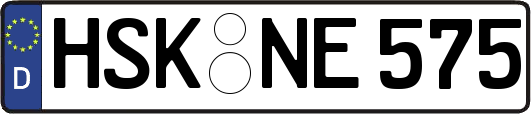 HSK-NE575