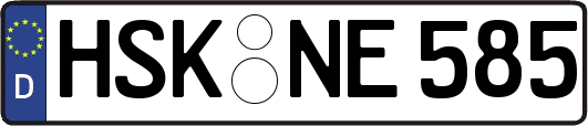 HSK-NE585