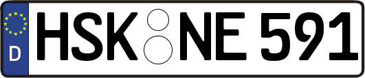 HSK-NE591