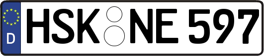 HSK-NE597